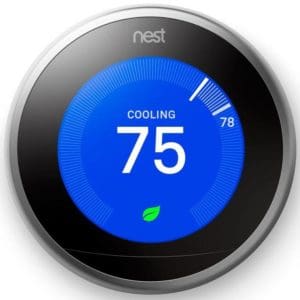 nest