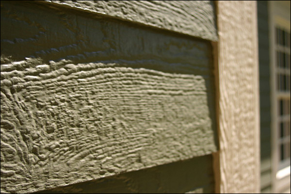 Close-up shot of green wood grain siding on a house in Madison, WI, showing the textured surface and horizontal planks. The image, taken during exterior renovations, is focused near the corner, highlighting the natural wood patterns and contrasting with the adjacent light-colored trim.