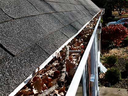 A close-up view of a house gutter filled with dried leaves and twigs, attached to a roof covered in gray shingles. The overfilled gutter is clogged, showing the need for cleaning. The background includes a blurred view of a yard with trees and bushes—a common sight before exterior renovations in Madison, WI.