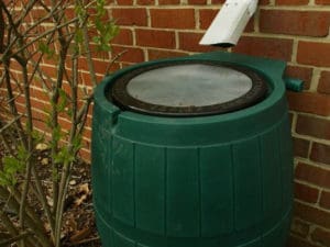 A green rain barrel is positioned against a red brick wall, with a white downspout directing water into the top opening. Nearby, there is a small plant with emerging leaves. The barrel appears to be part of exterior renovations in Madison, WI, as an eco-friendly rainwater harvesting system.