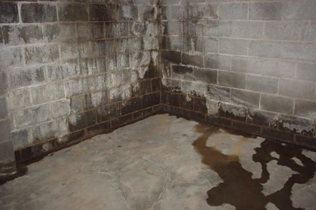 A damp, unfinished basement with concrete walls and floor. Water stains and visible mold patches cover the lower portion of the walls, particularly in the corners. Several small puddles of water on the floor suggest possible leakage or poor drainage, highlighting a need for exterior renovations in Madison WI.