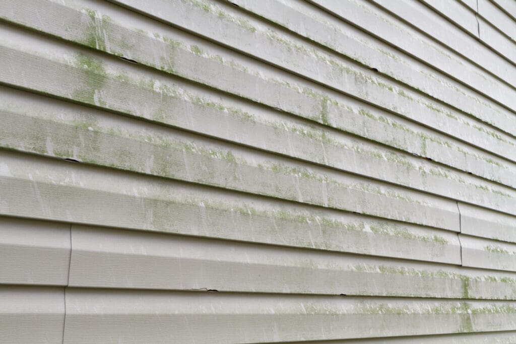 Close-up of beige vinyl siding on a house, showing streaks and patches of green mold or mildew along the surface. Visible seams and discoloration indicate it may be time for siding repair or even siding replacement.