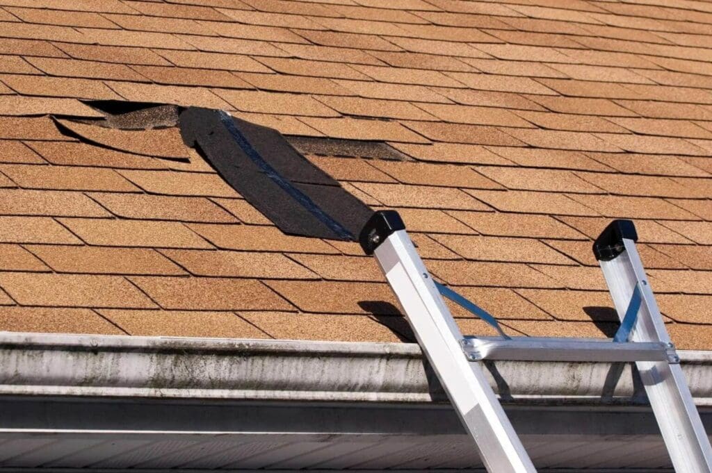 A silver ladder leans against a house, reaching a roof with brown shingles. Several shingles are damaged and lifted, exposing the underlayment and a gap in the roof.